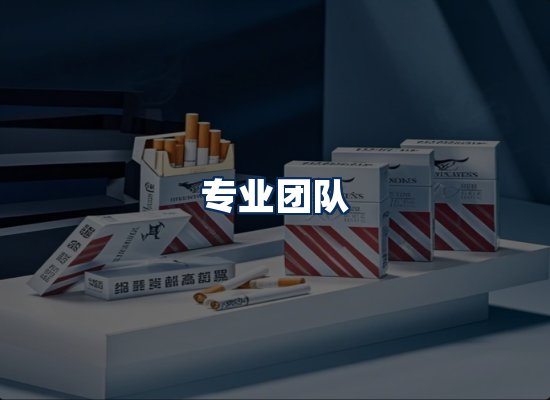 专业团队